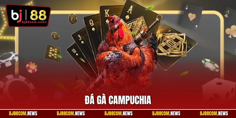 Đá Gà Campuchia | Cá Cược Kịch Tính Với Trận Đấu Đỉnh Cao