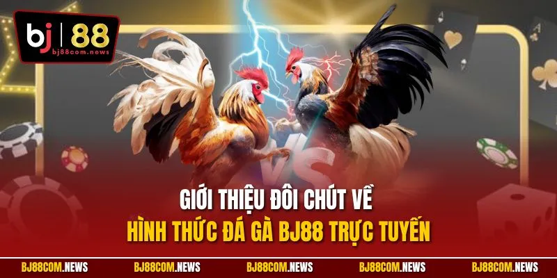 Giới thiệu đôi chút về hình thức đá gà BJ88 trực tuyến