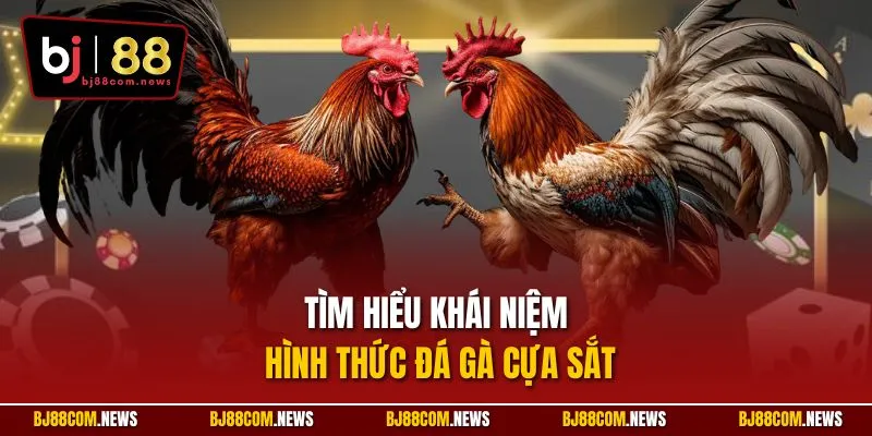 Tìm hiểu khái niệm hình thức đá gà cựa sắt