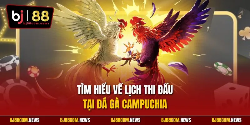 Tìm hiểu về lịch thi đấu tại đá gà Campuchia