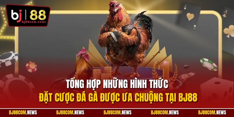 Tổng hợp những hình thức đặt cược đá gà được ưa chuộng tại BJ88